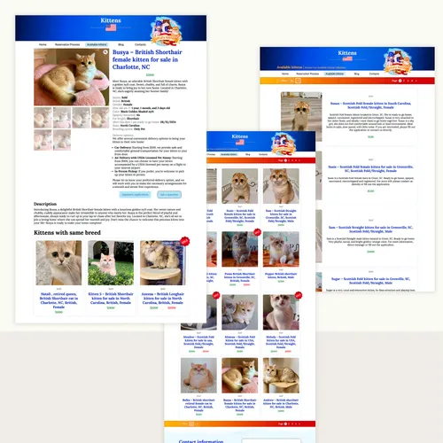 Detailed gallery of available kittens with adoption information – development of a professional cattery website