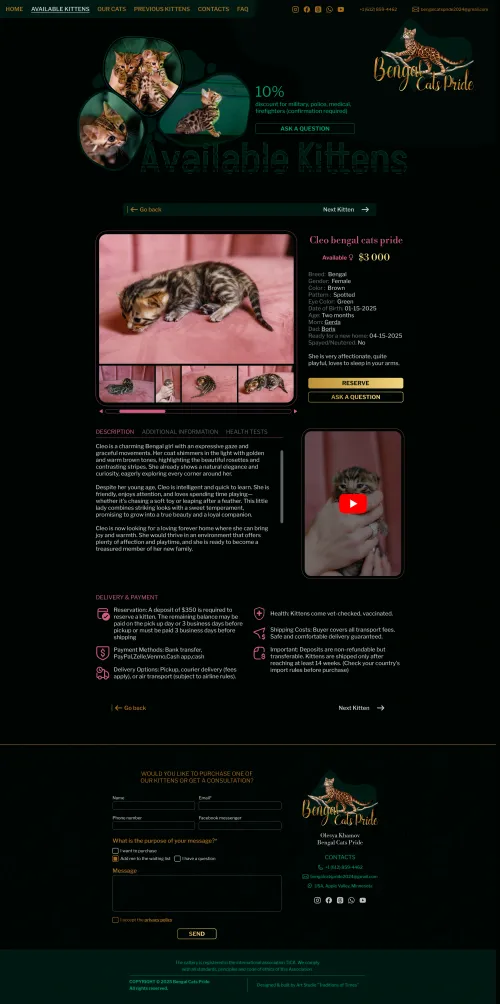 Available kitten page on the Bengal cat cattery website — custom unique design.