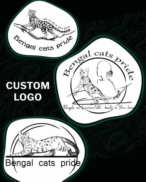 Logo sketches — custom logo creation process for a Bengal cat cattery in Minnesota, USA.