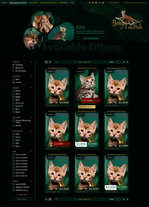 Available kittens page with compact card view featuring brief information and easy-to-use search filters.