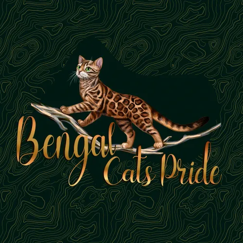 Bengal cat cattery logo featuring a cat in raster format.