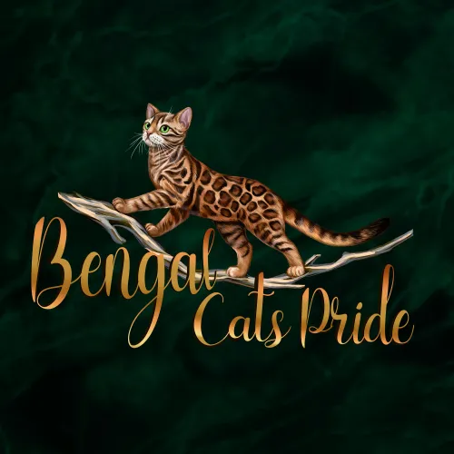 Logo featuring a brown spotted (rosetted) Bengal cat.
