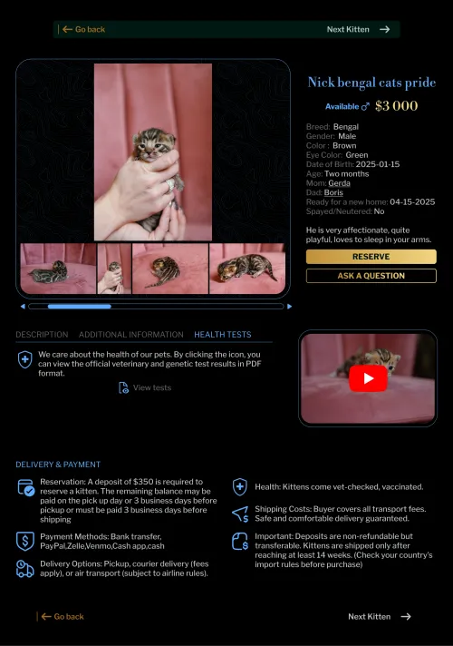 User-friendly gallery for browsing kitten photos on the Bengal cat cattery website.