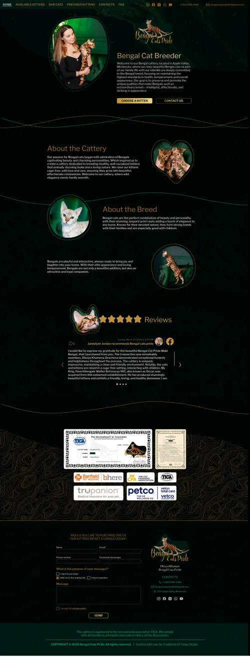 Creative minimalist design of the Bengal cat cattery homepage with custom logo.