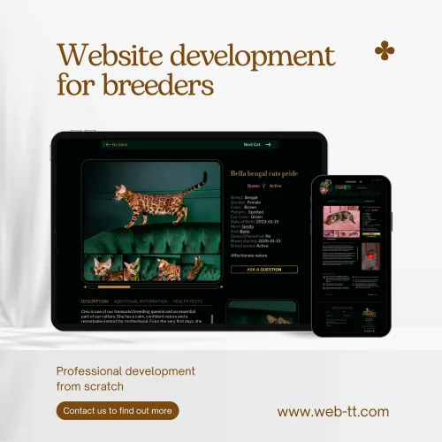 Development of a modern responsive website for a Bengal cat cattery with unique branding.