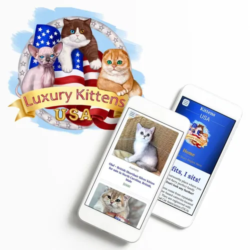 Responsive website layout for a cattery, optimized for mobile and tablet devices