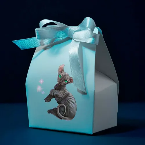 Example of using cat Sphynx digital illustration for branded merchandise.