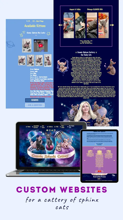 Screenshot of responsive website design for the Cosmic Sphynx Cattery across various devices.