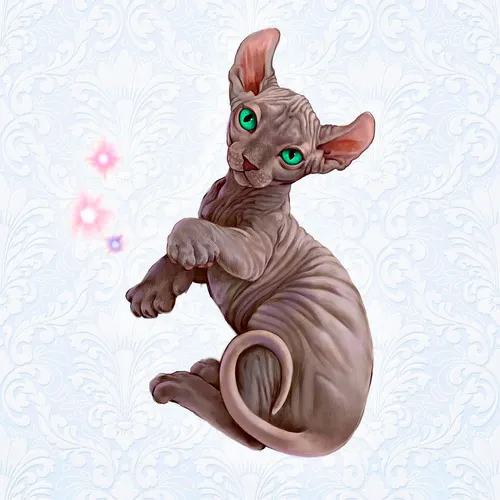 Sphynx illustration for a breeder’s website — custom graphics for cat catteries.