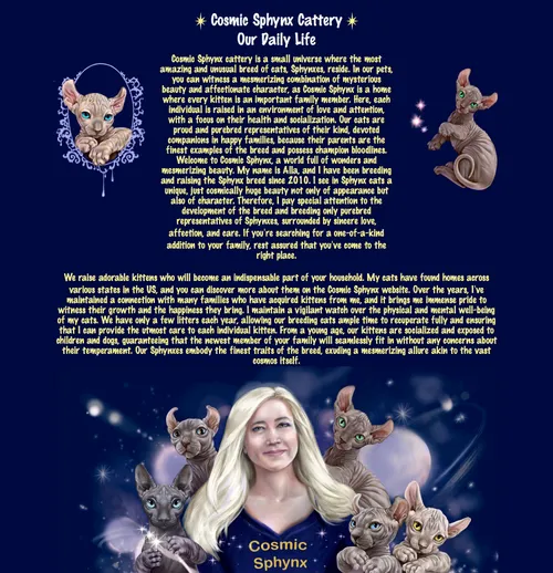 Cattery website design with custom on-page illustrations.