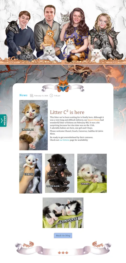 News page on the Maine Coon cattery website